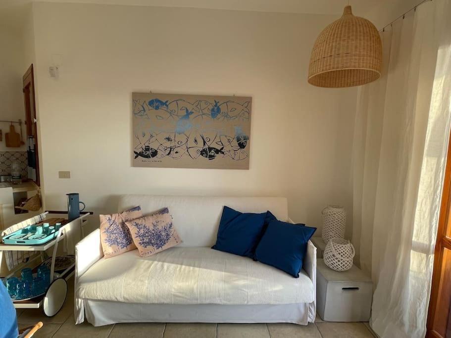 Apartment Con Giardino A Due Passi Dal Mare. *
